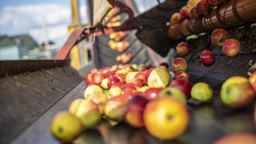 GEA AND BETTER JUICE PUT LOWER-SUGAR FRUIT DRINK INNOVATION INTO COMMERCIAL PRODUCTION